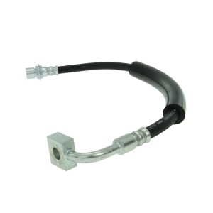 Centric Front Brake Hose for 2008 Dodge Magnum - 150.63080