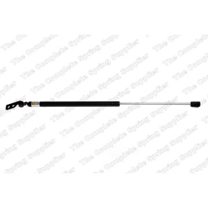 lesjofors Passenger Side Liftgate Lift Support for 2001 Hyundai Accent - 8137214