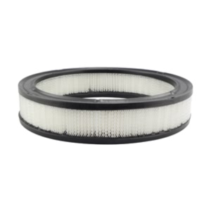 Hastings Air Filter for 1984 Mercury Marquis - AF142