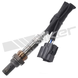 Walker Products Oxygen Sensor for 1999 Honda Accord - 350-64039