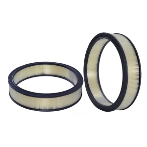 WIX Air Filter for Mercury Monterey - 42116