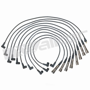 Walker Products Spark Plug Wire Set for Mercedes-Benz 380SE - 924-1383