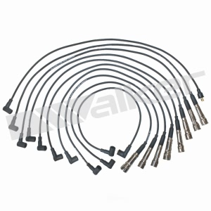 Walker Products Spark Plug Wire Set for 1985 Mercedes-Benz 500SEL - 924-1383