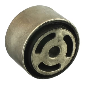 Delphi Rear Lower Forward Control Arm Bushing for 2002 Mercedes-Benz E320 - TD1010W