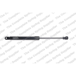 lesjofors Hood Lift Support for 1990 Porsche 911 - 8069706