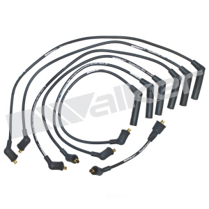 Walker Products Spark Plug Wire Set for Dodge Raider - 924-1269