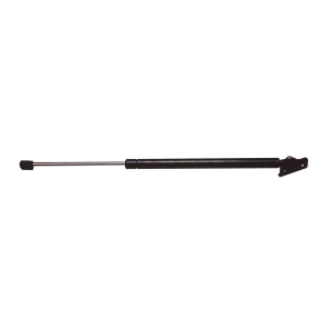 StrongArm Liftgate Lift Support for 1999 Jeep Cherokee - 4291