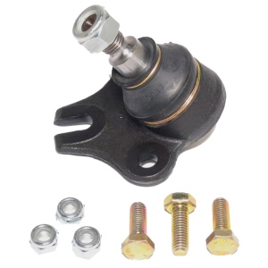 Delphi Front Lower Bolt On Ball Joint for 1999 Volkswagen Jetta - TC438