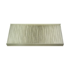 Hastings Cabin Air Filter for Ford Escort - AFC1111