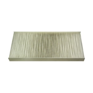 Hastings Cabin Air Filter for 2008 Ford Focus - AFC1111