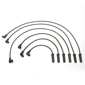 Delphi Spark Plug Wire Set for Buick Regal - XS10238