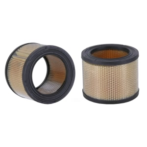 WIX Air Filter for Fiat - 42371