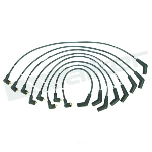 Walker Products Spark Plug Wire Set for 2002 Land Rover Range Rover - 924-2042