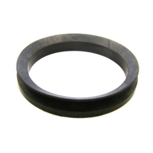 SKF Front Outer Differential Pinion Seal for 2002 Dodge Dakota - 400400