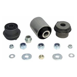 Delphi Front Lower Control Arm Bushings for 1994 Mercedes-Benz C220 - TD839W