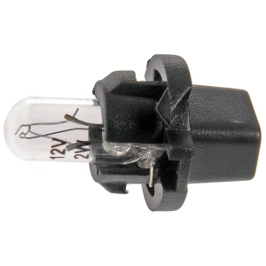 Dorman Halogen Bulbs - 639-036