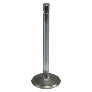 Sealed Power Engine Intake Valve for Plymouth Acclaim - V-2434