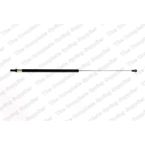 lesjofors Hood Lift Support for 1999 Audi A4 - 8004209