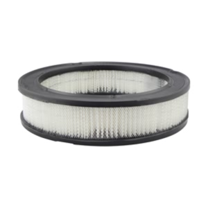 Hastings Air Filter for Mercury Monterey - AF122