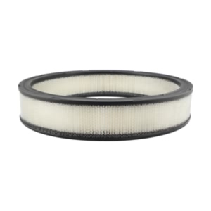 Hastings Air Filter for Ford LTD - AF311