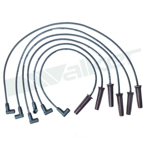 Walker Products Spark Plug Wire Set for 2003 Pontiac Montana - 924-1666