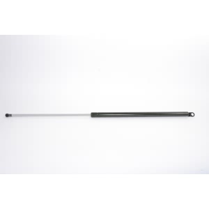 StrongArm Liftgate Lift Support for 1989 Nissan Sentra - 4851