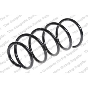 lesjofors Coil Spring for 2008 BMW 335xi - 4008474