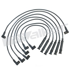 Walker Products Spark Plug Wire Set for BMW 633CSi - 924-1264