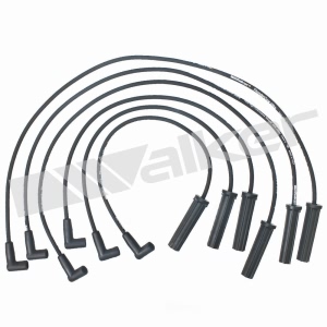 Walker Products Spark Plug Wire Set for Pontiac Montana - 924-1358