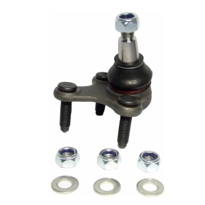 Delphi Front Passenger Side Lower Bolt On Ball Joint for 2015 Audi A3 - TC1732