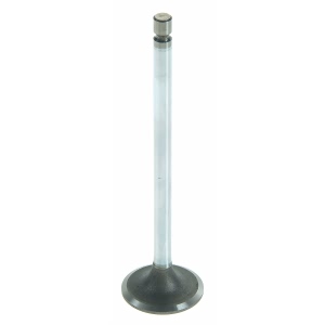 Sealed Power Engine Intake Valve for Ram - V-4671