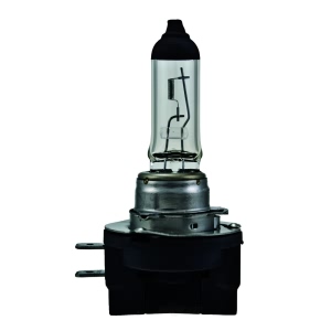 Hella H11B Standard Series Halogen Light Bulb for 2007 Hyundai Elantra - H11B