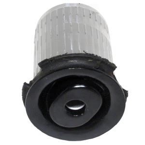 Delphi Front Lower Inner Forward Control Arm Bushing for 2000 Mercedes-Benz S430 - TD385W