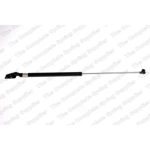 lesjofors Passenger Side Liftgate Lift Support for 1990 Mazda 626 - 8155407