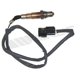 Walker Products Oxygen Sensor for 1996 Mitsubishi Montero - 350-34179