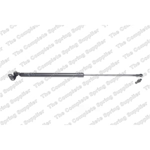 lesjofors Driver Side Liftgate Lift Support for 2004 Lexus LX470 - 8192579