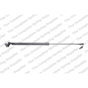 lesjofors Driver Side Liftgate Lift Support for 1999 Toyota Land Cruiser - 8192579