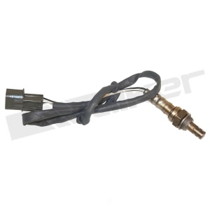 Walker Products Oxygen Sensor for 2005 Kia Amanti - 350-34540