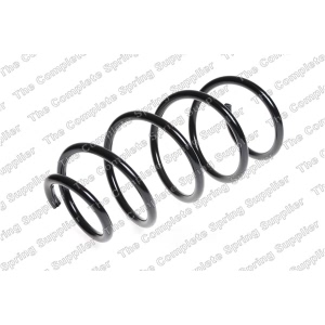 lesjofors Coil Spring for 2008 BMW 335i - 4008472