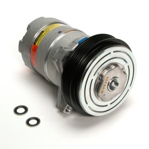 Delphi A C Compressor With Clutch for 1995 Pontiac Bonneville - CS0086