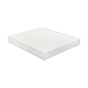 Hastings Cabin Air Filter for Ram C/V - AFC1496