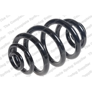 lesjofors Rear Coil Springs for 2005 BMW X3 - 5208459