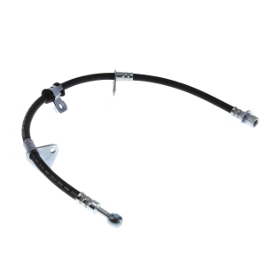 Centric Front Driver Side Brake Hose for Honda Accord - 150.40015