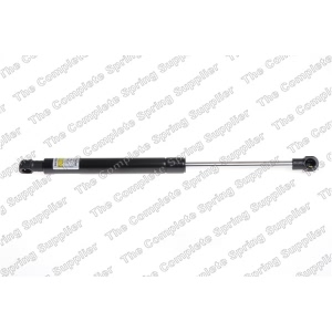 lesjofors Hood Lift Support for 2017 Audi Q5 - 8004224