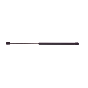 StrongArm Back Glass Lift Support for Mitsubishi Endeavor - 4193