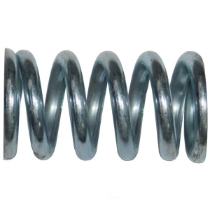 Bosal Exhaust Spring - 251-025