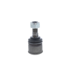 VAICO Front Lower Ball Joint for 2006 Mercedes-Benz CLS55 AMG - V30-7354