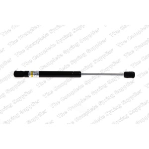 lesjofors Trunk Lid Lift Support for 2008 Audi RS4 - 8104235