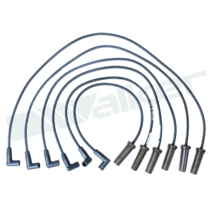 Walker Products Spark Plug Wire Set for 2002 Pontiac Firebird - 924-1826