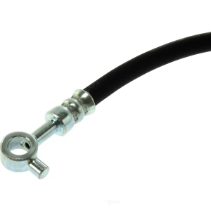 Centric Front Passenger Side Brake Hose for 2014 Nissan Murano - 150.42097